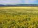 imgp5238_small.jpg