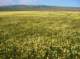 imgp5239_small.jpg