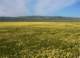 imgp5240_small.jpg