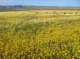 imgp5241_small.jpg