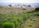 imgp5243_small.jpg