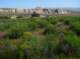 imgp5246_small.jpg