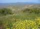 imgp5262_small.jpg