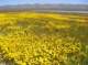 imgp5271_small.jpg