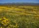 imgp5277_small.jpg