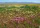 imgp5278_small.jpg