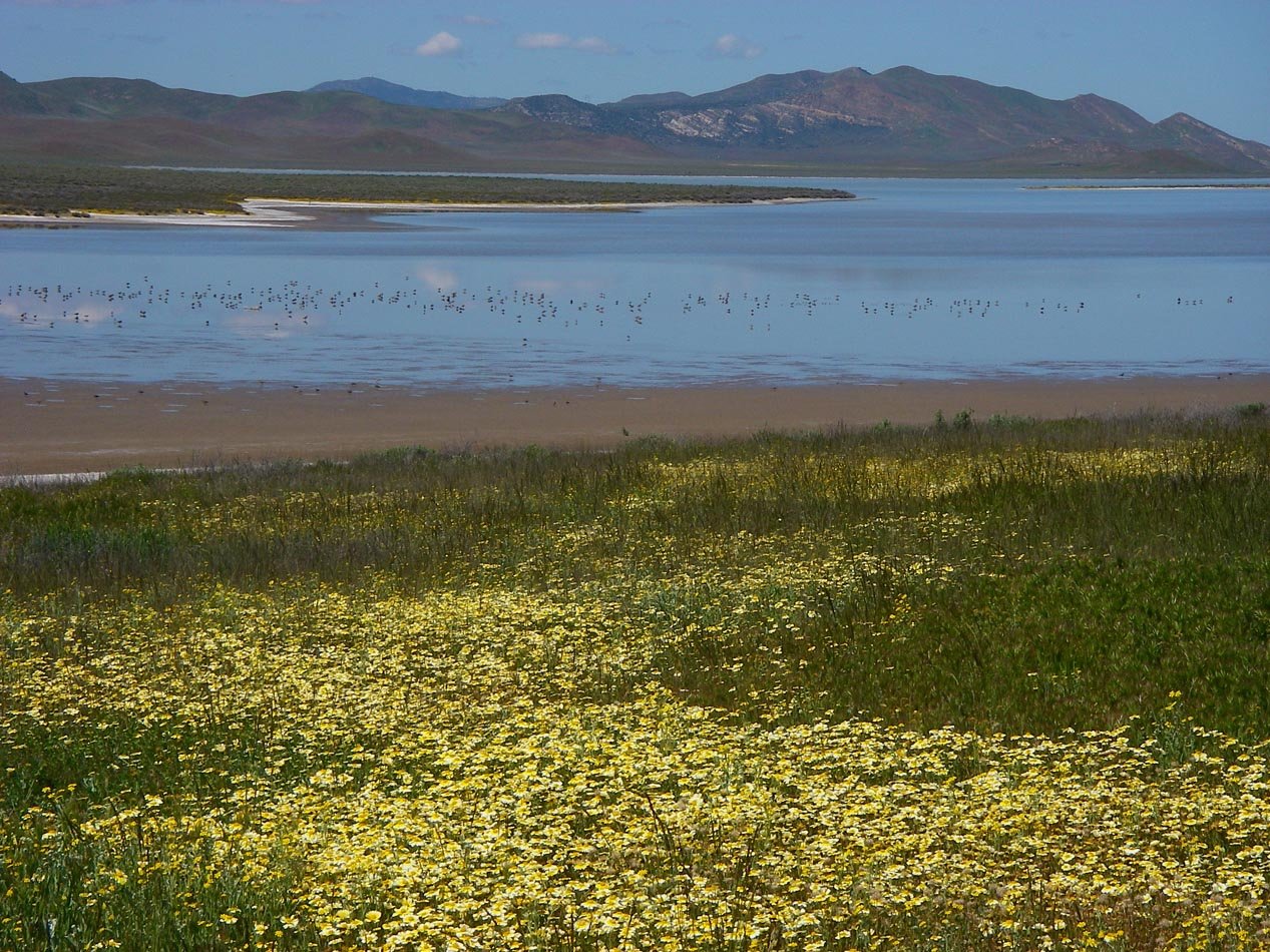 Soda Lake at Carrizo Plain National Monument 4/6/2011 
