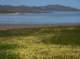 Soda Lake at Carrizo Plain National Monument 4/6/2011