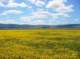 imgp5283_small.jpg