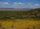 imgp5286_small.jpg