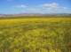 imgp5288_small.jpg