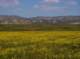 imgp5291_small.jpg