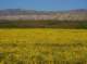 imgp5292_small.jpg
