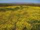 imgp5294_small.jpg