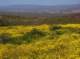 imgp5295_small.jpg