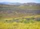 imgp5296_small.jpg
