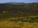 imgp5297_small.jpg