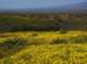 imgp5298_small.jpg