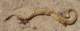 imgp5301_small.jpg