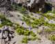 imgp3944_small.jpg