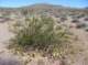 imgp3958_small.jpg