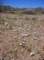 imgp3960_small.jpg