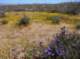 imgp3965_small.jpg