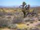 imgp3968_small.jpg