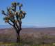 imgp3972_small.jpg