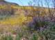 imgp3980_small.jpg