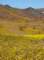 imgp3981_small.jpg
