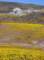 imgp3988_small.jpg