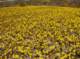 imgp3989_small.jpg