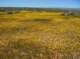 imgp3991_small.jpg