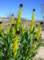 imgp3995_small.jpg