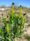 imgp3996_small.jpg
