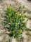 imgp3997_small.jpg