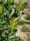 imgp3998_small.jpg