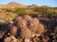 imgp4006_small.jpg