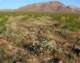 imgp4008_small.jpg
