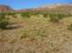 imgp4009_small.jpg