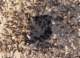 imgp4010_small.jpg