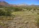 imgp4013_small.jpg
