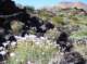 imgp4015_small.jpg