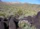 imgp4017_small.jpg