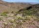 imgp4019_small.jpg