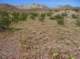 imgp4022_small.jpg
