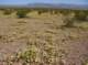 imgp4024_small.jpg