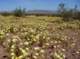 imgp4025_small.jpg