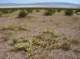 imgp4026_small.jpg